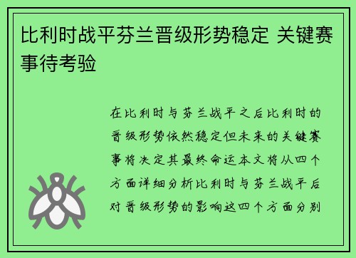 比利时战平芬兰晋级形势稳定 关键赛事待考验