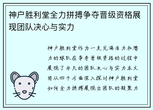 神户胜利堂全力拼搏争夺晋级资格展现团队决心与实力